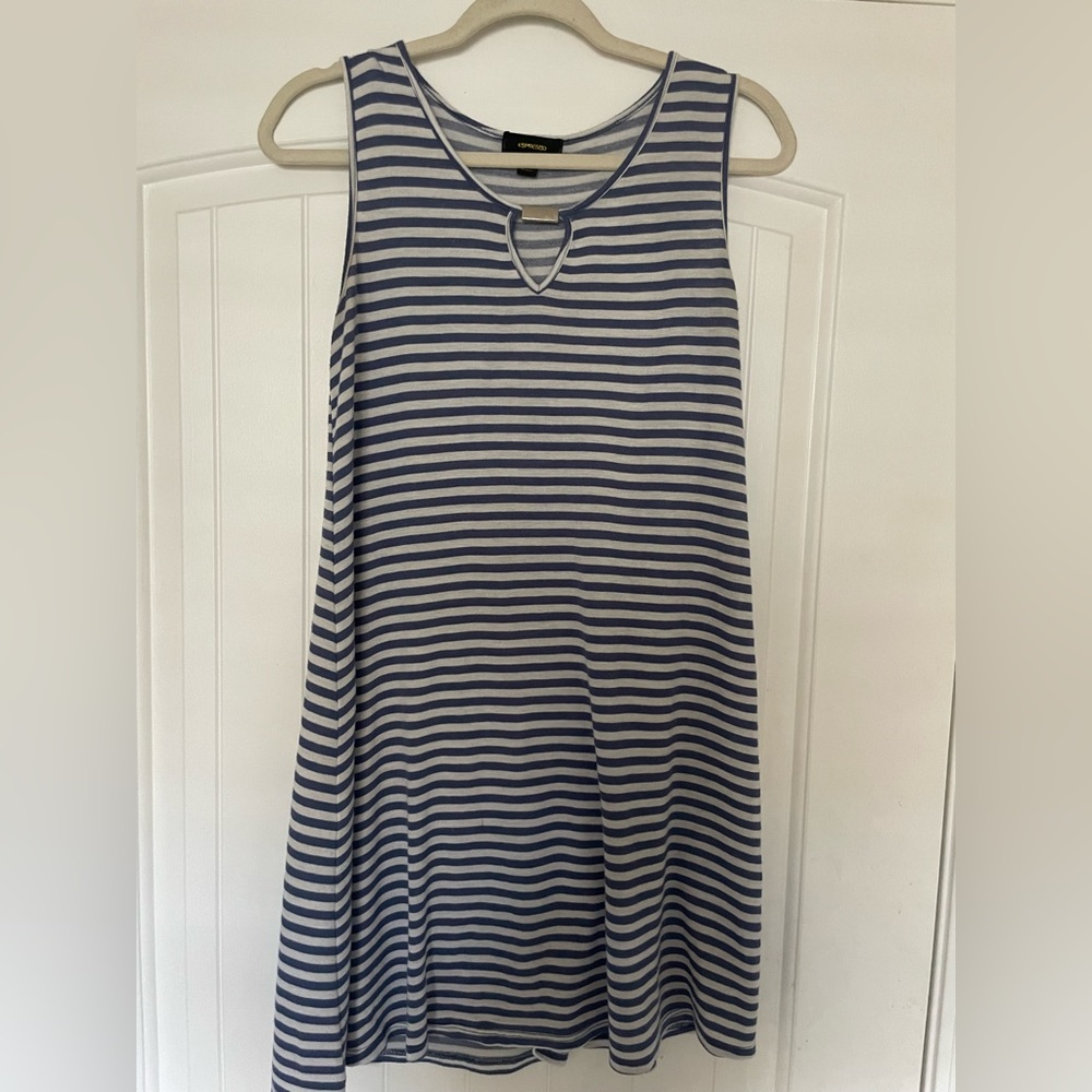 Espresso Dress- Blue and White Striped